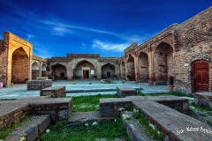 49863809736_15b721529f_b