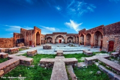 49863810356_4995e250dd_b