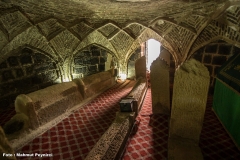 49863810811_e68d91dc26_b