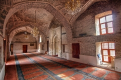 49863812516_e034e48bc0_b